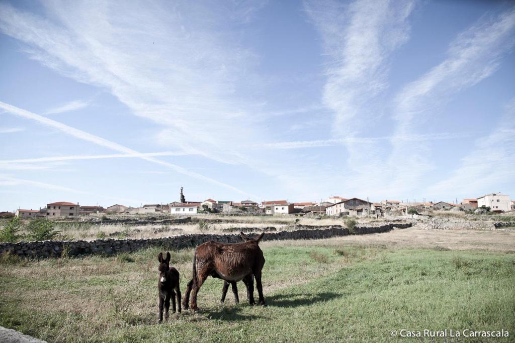 Casa Rural La Carrascala Замора Екстериор снимка